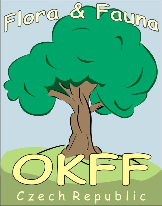okff logo